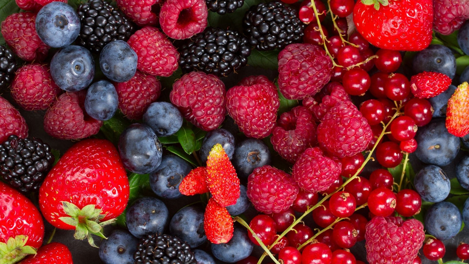 Buds & Berries