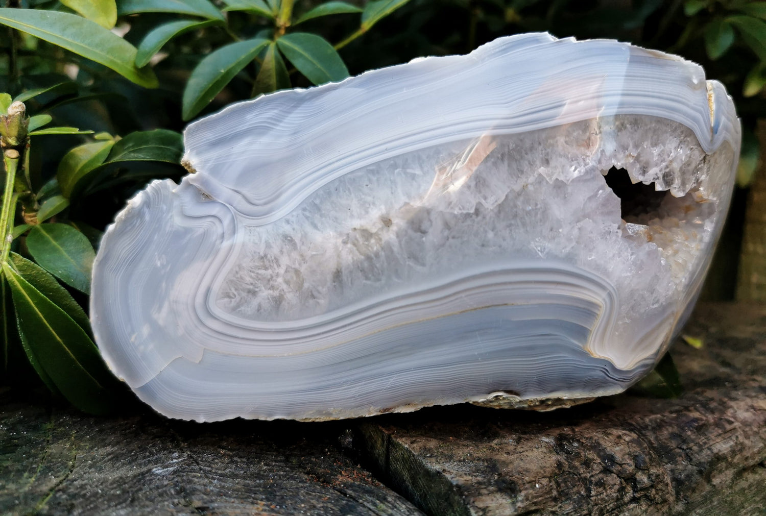 Blue Lace Agate