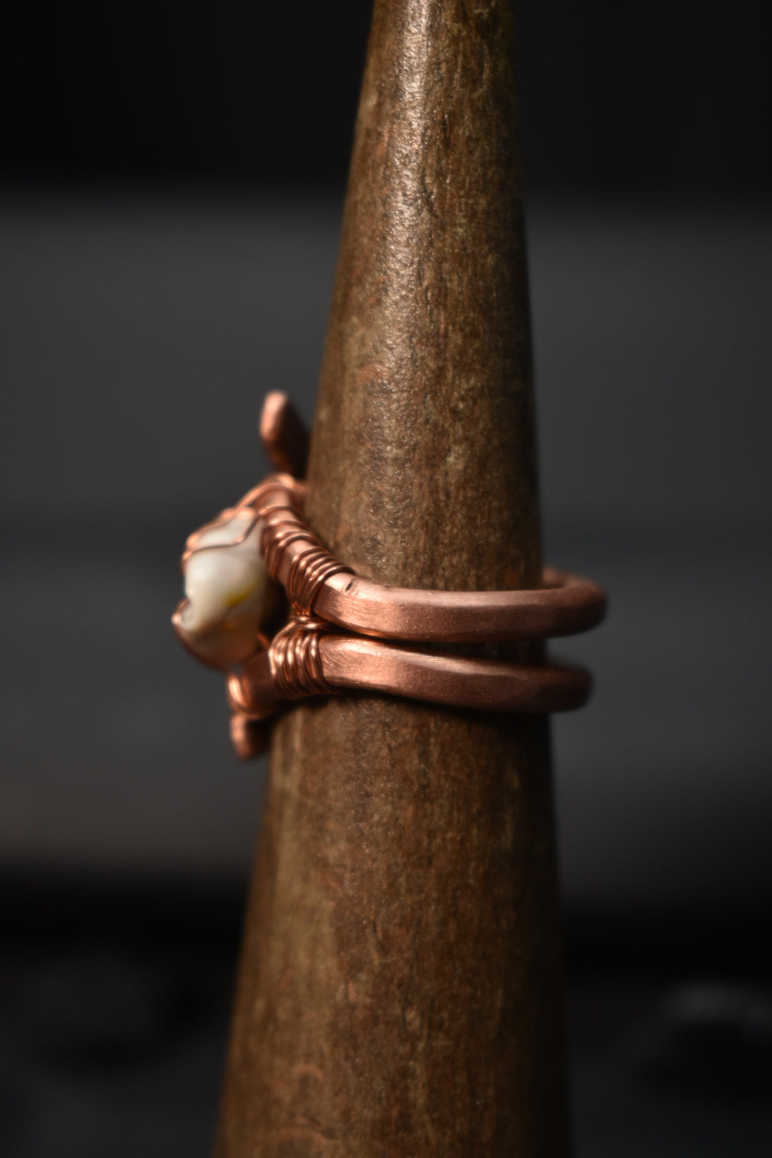 Cowrie Shell-Solar Eye: Copper Ring